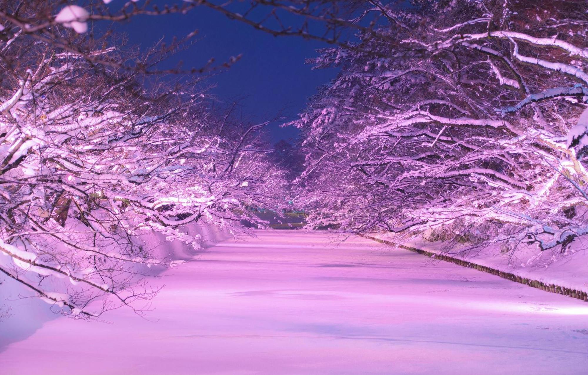 Hirosaki Park Hotel Aomori Exteriér fotografie